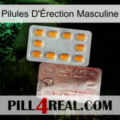 Male Erection Pills new13